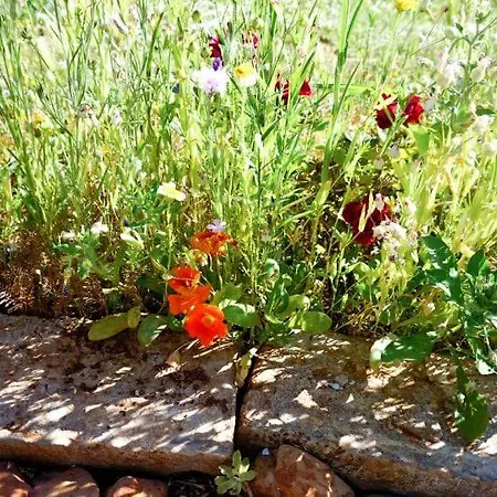 Gardens Daire